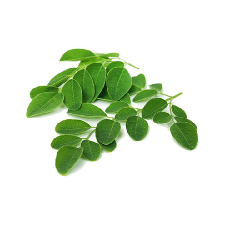 Parazitol contiene hojas de moringa, un poderoso remedio natural contra los parásitos